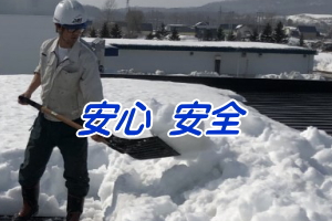 プロだから安心・安全