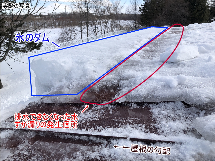 すが漏り発生時の実際の写真